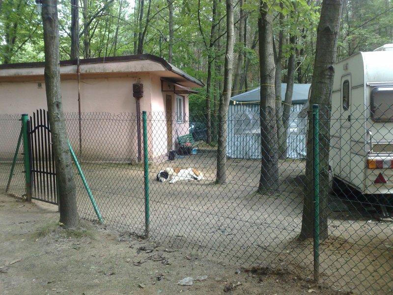 Kompleks Wypoczynkowy Zalew Nako - Checho