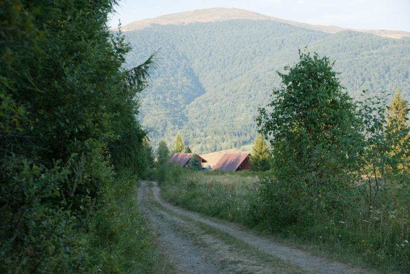 Domki w Smereku