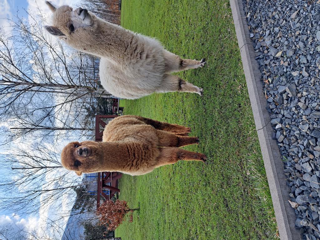 Gospodarstwo Zacisze