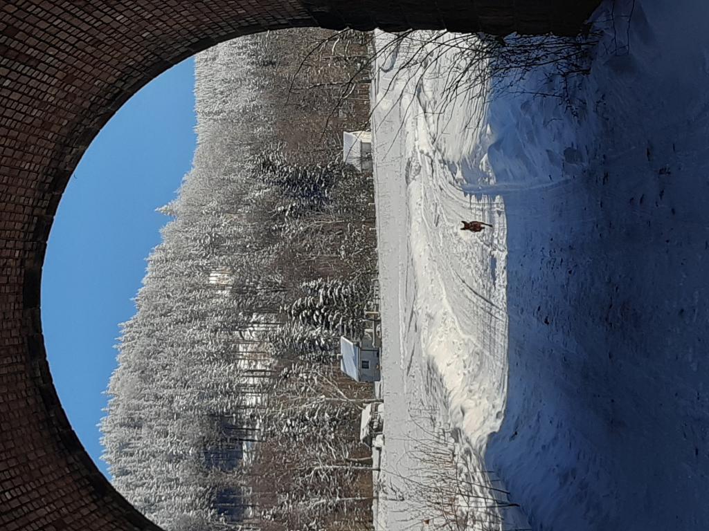 Gospodarstwo Zacisze