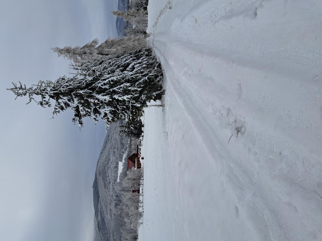 Gospodarstwo Zacisze