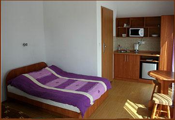 Monti