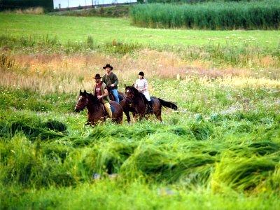 Gospodarstwo Agroturystyczne Pogranicze