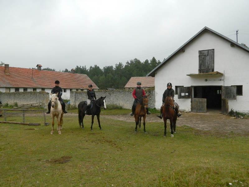 Gospodarstwo Agroturystyczne Polanka