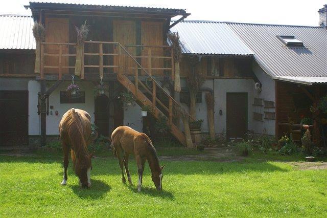 Agroturystyka Ostoja Dziejw