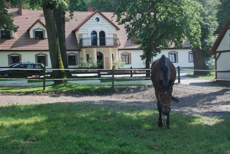 Pensjonat agroturystyczny Dworek w Skibnie