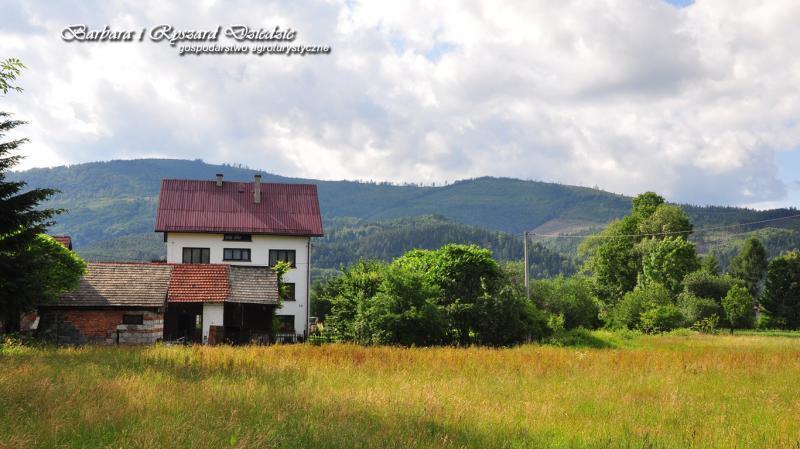 Barbara i Ryszard Dziedzic - Gospodarstwo Agroturystyczne