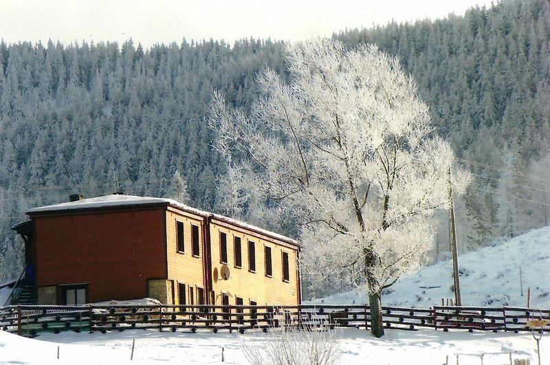 Schronisko PTTK na Hali Boraczej