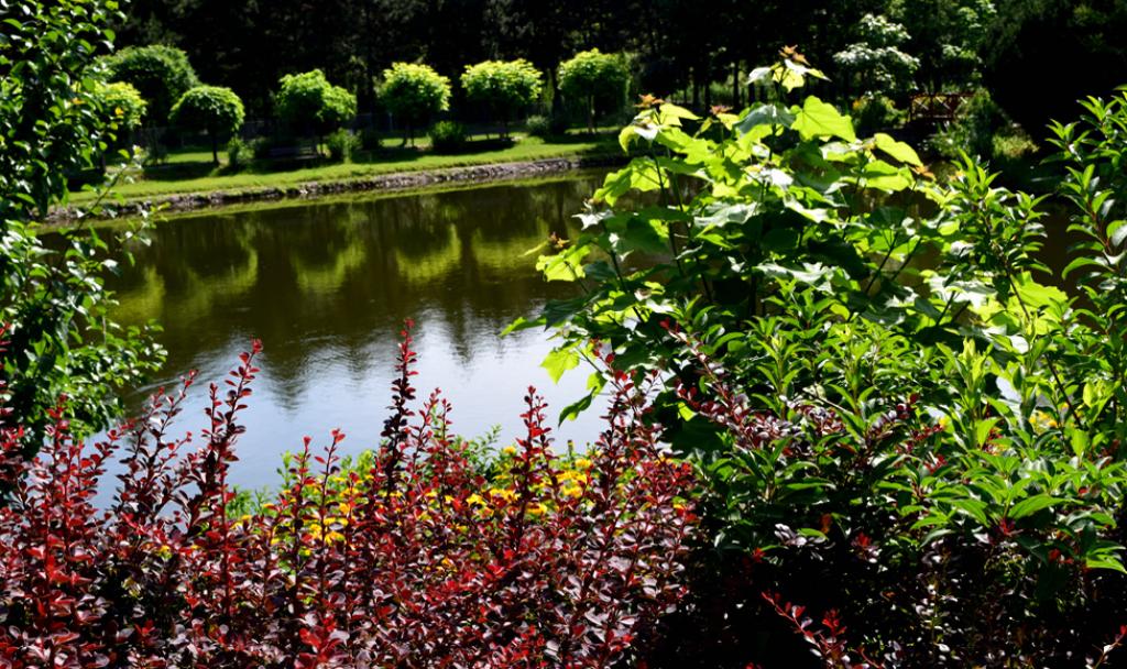 Centrum Konferencyjno-Wypoczynkowe MAGNOLIA