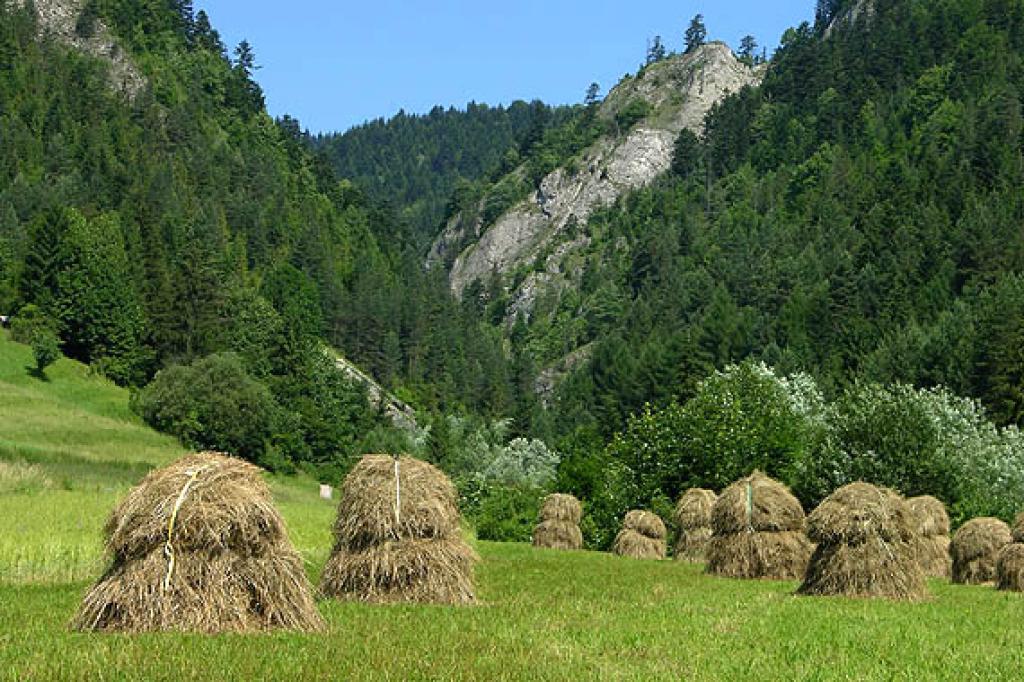 Gospodarstwo  Agroturystyczne  Kwiatkwka