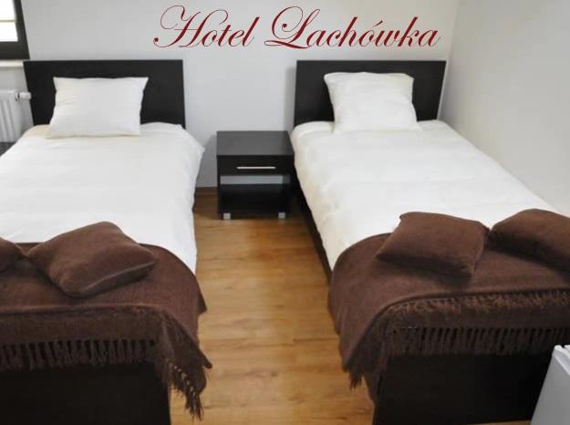 Lachwka