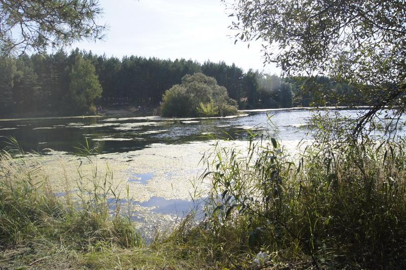 Orodek Wypoczynkowy Wing-Pol