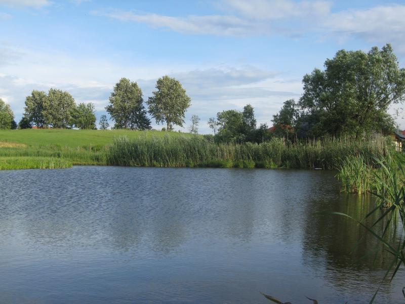 Agroturystyka Nad Stawem