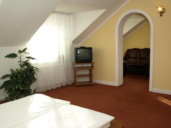 Hotel i Restauracja Stary Dwr