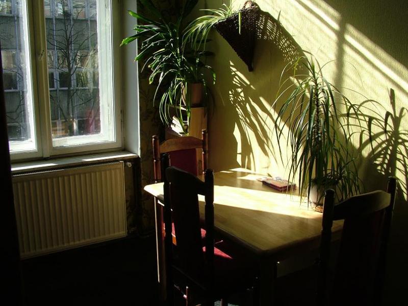 Hostel Zielone Mazowsze Warszawa