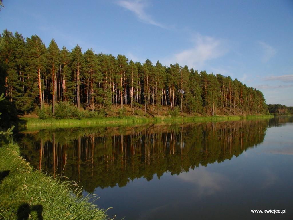 Gospodarstwo Agroturystyczne w Kwiejcach