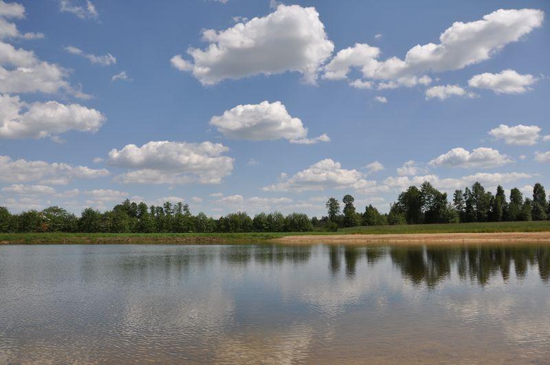 Agroturystyka Pod Brzozami