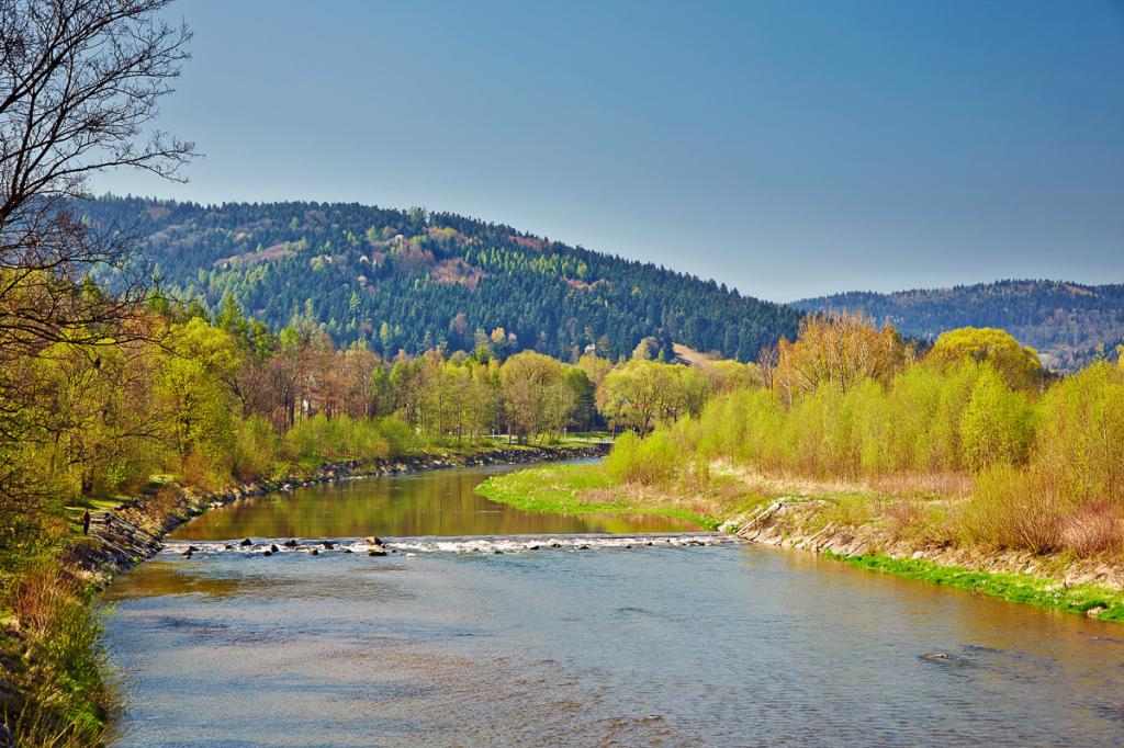 Pokoje gocinne Pod Brzoz