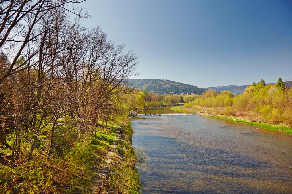 Pokoje gocinne Pod Brzoz