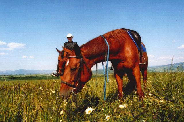 Zagroda Agroturystyczna Koska Dola