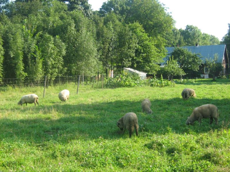 Agrohaczw Za rzek
