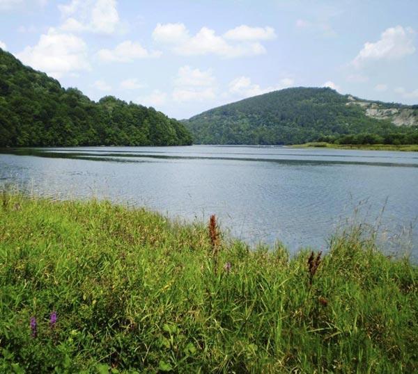 Domki Letniskowe Solina