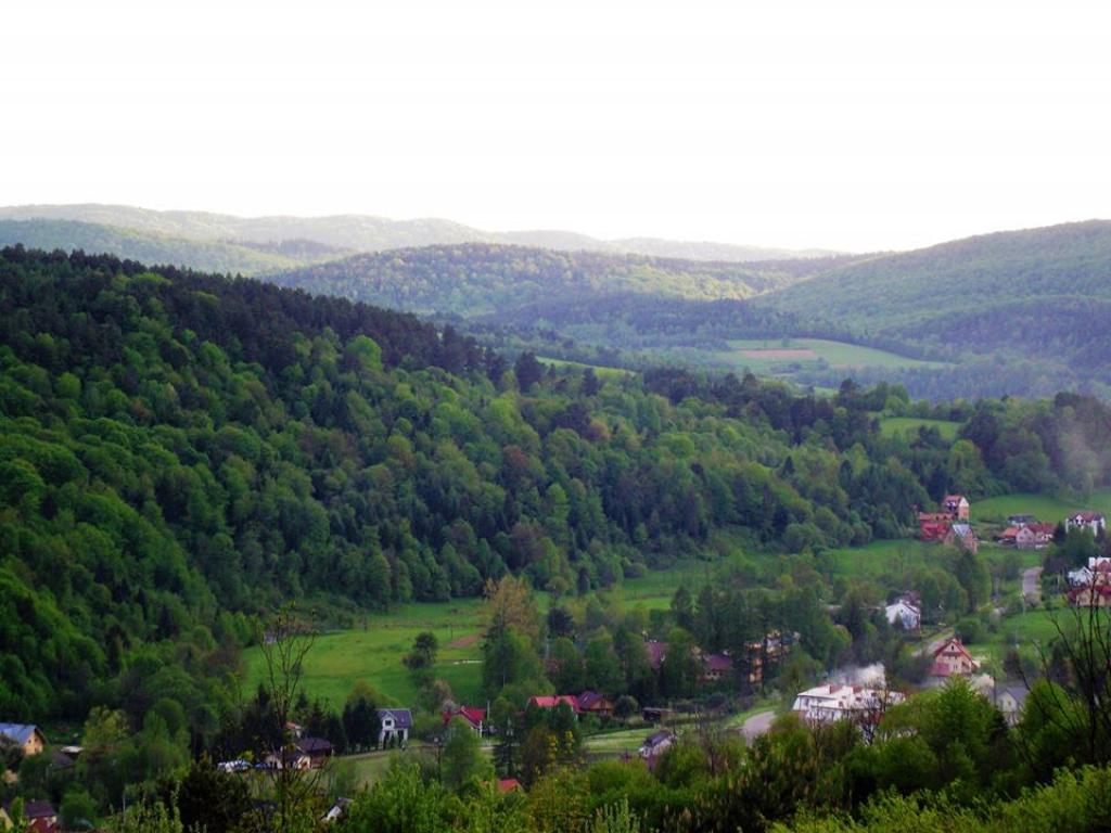 Dom na Szkolnej w Wokowyi