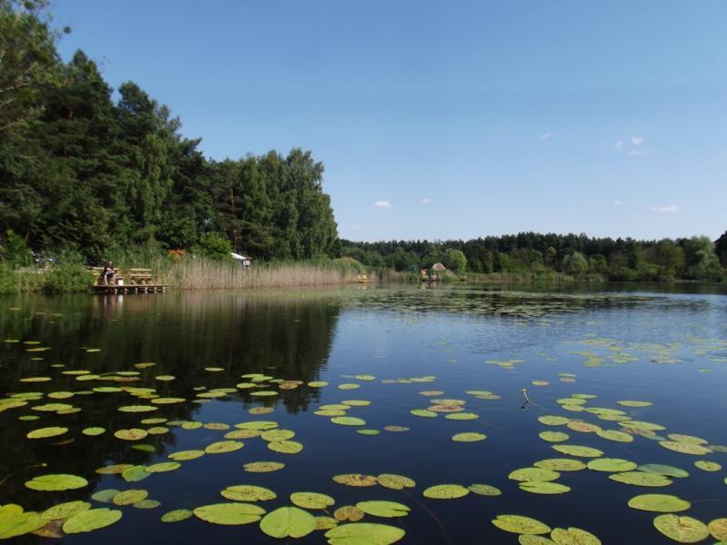 Gospodarstwo Agroturystyczne Piotra Minge