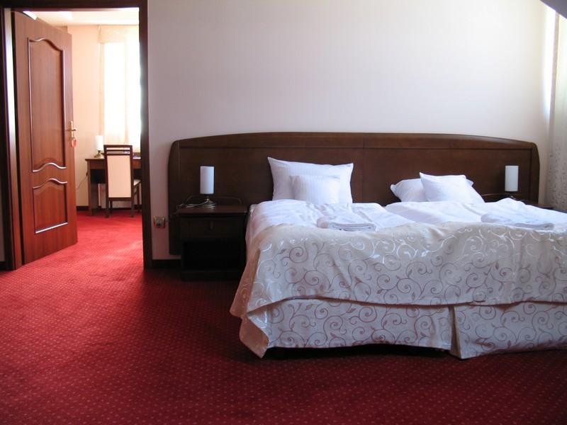 Hotel Rytwiany***