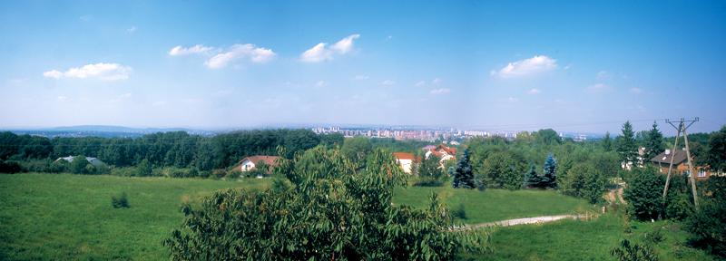 Dom Gocinny Apis
