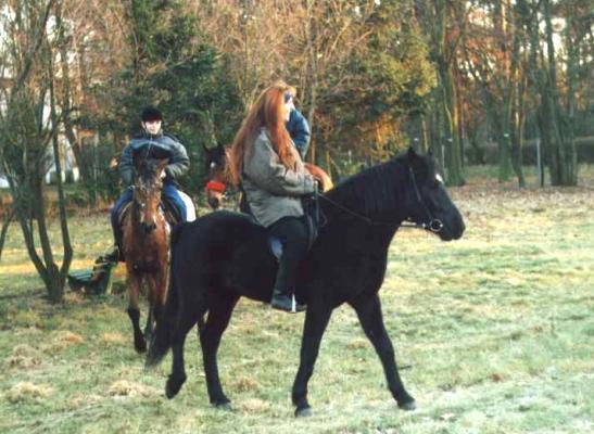 Wyczeniak