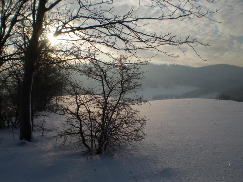 Halinwka
