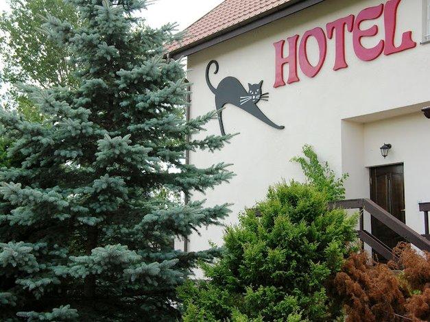 Hotel Kot