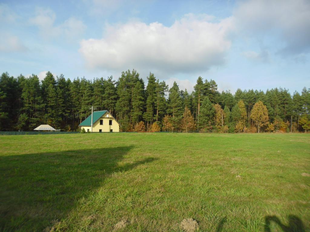 Domki caoroczne