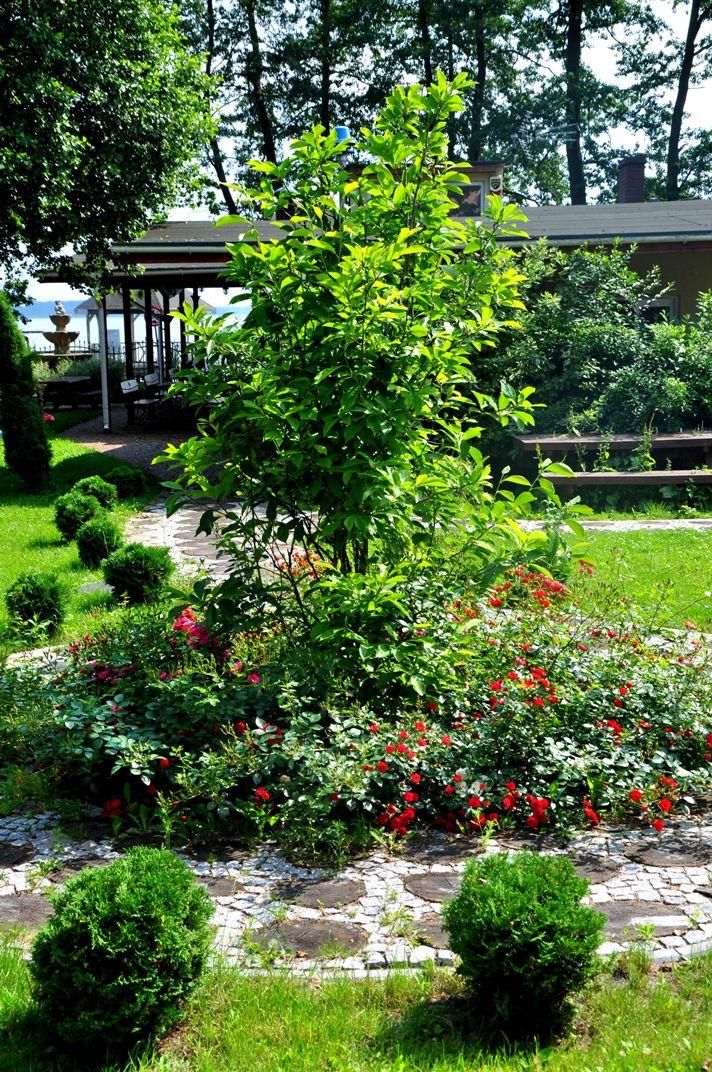 Hotel Restauracja FENIX