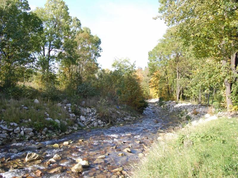 Gociniec Nad Potokiem