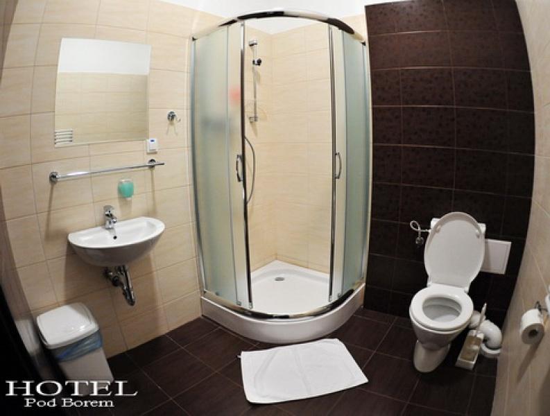 Hotel Pod Borem