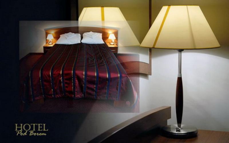 Hotel Pod Borem