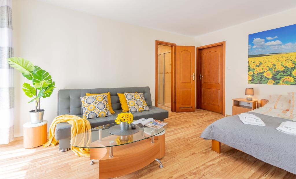 Apartament i Pokoje u Lusi