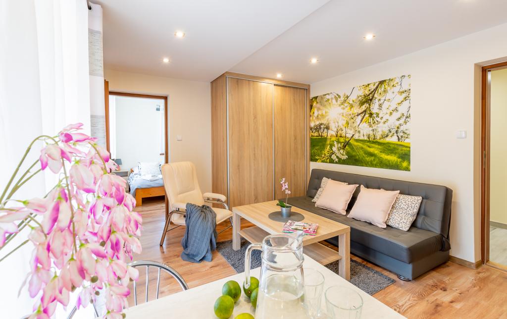 Apartament i Pokoje u Lusi