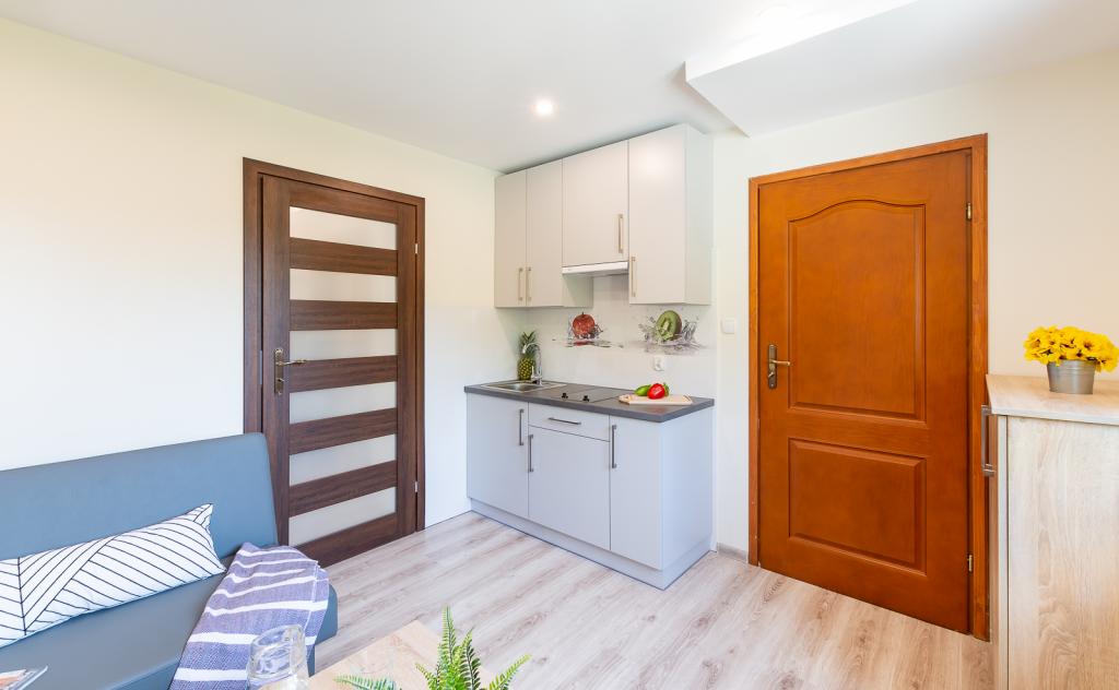 Apartament i Pokoje u Lusi