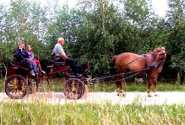 Gospodarstwo Agroturystyczne Zaktek