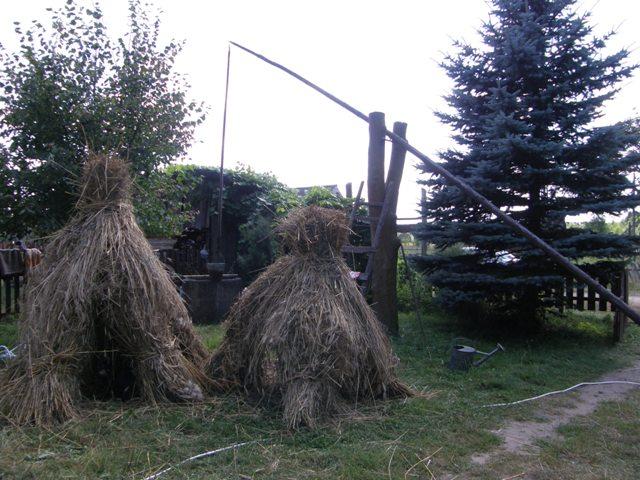 Suszczy Borek