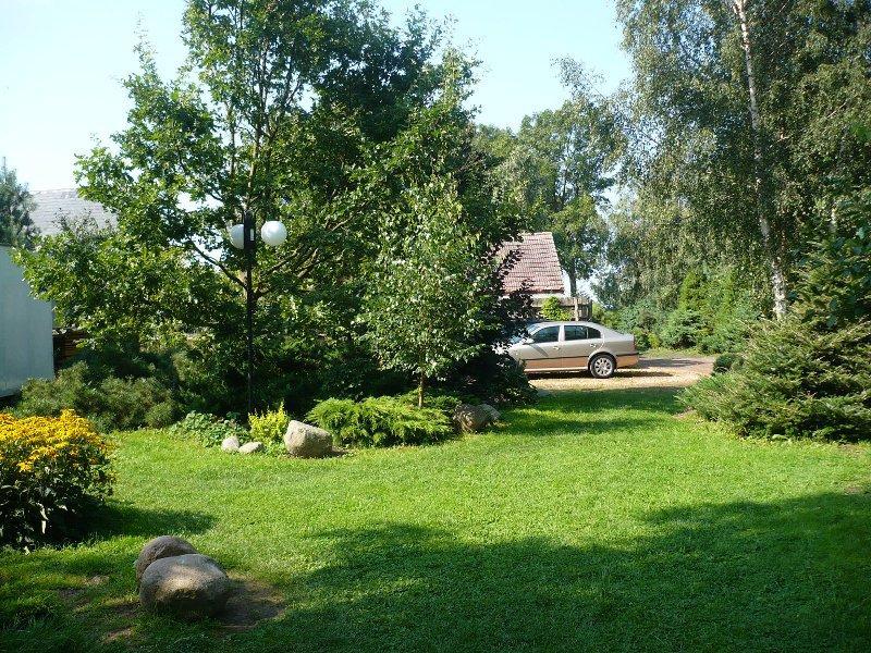 Polanki