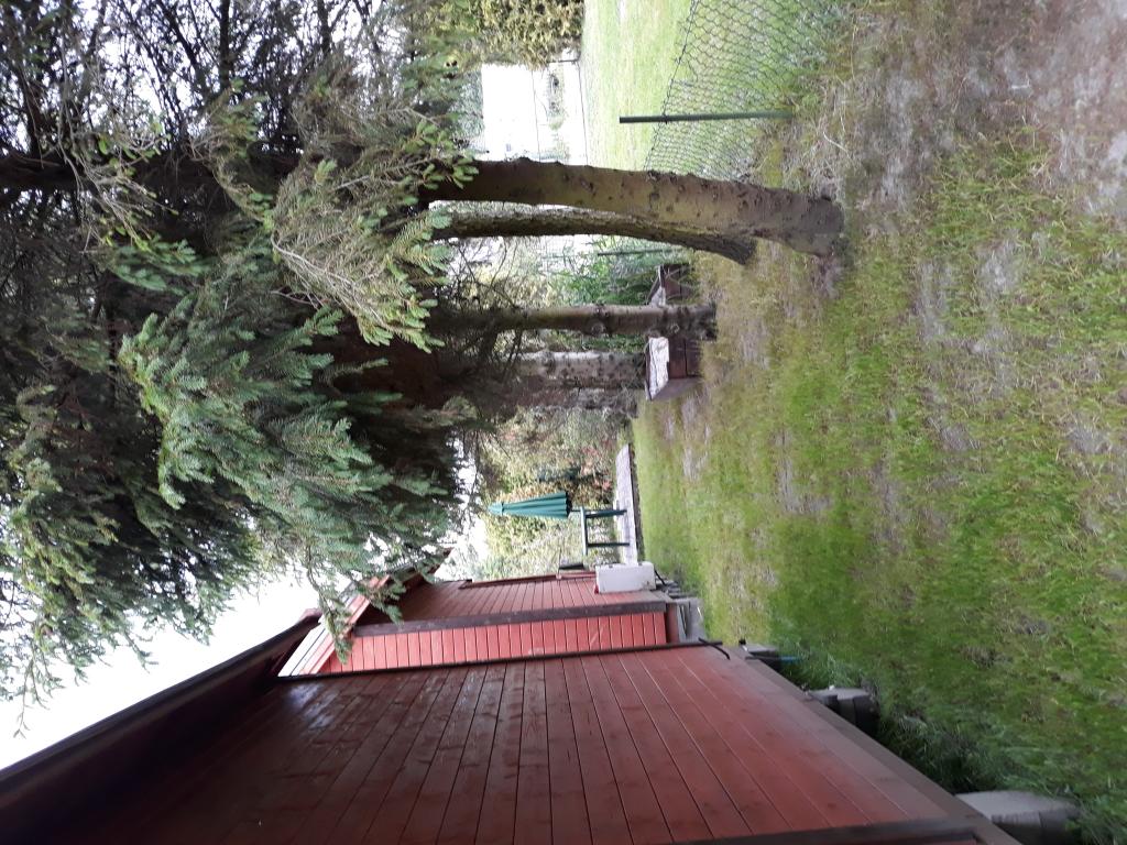 U Andrzeja
