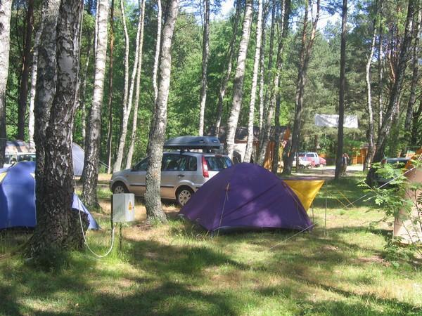 Pole namiotowe Lene