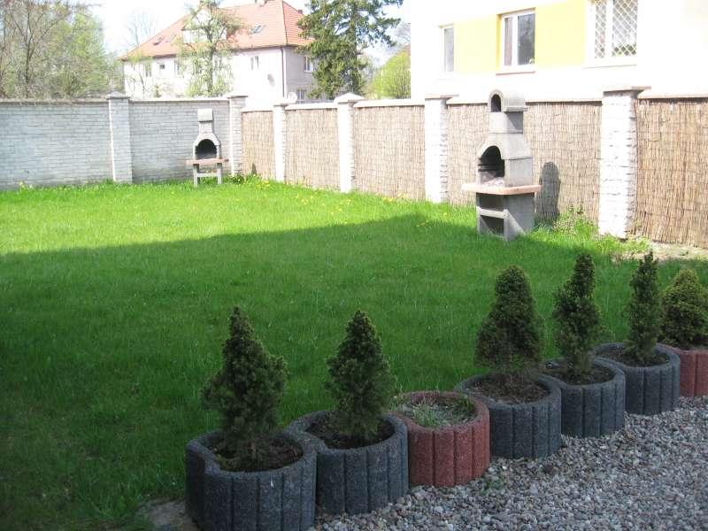Morski Kwiat