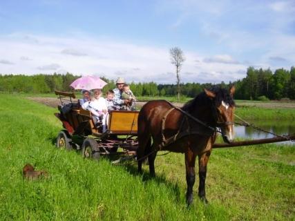 Gospodarstwo Agroturystyczne Oleka