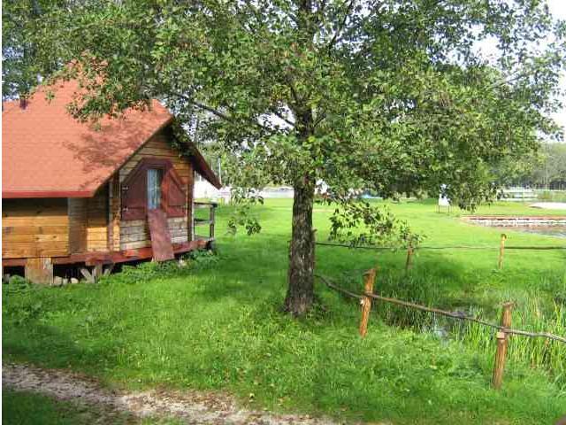 Szelka