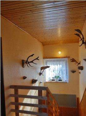 Pokoje Gocinne Ra